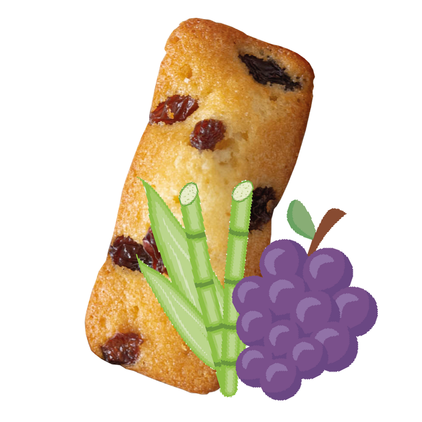 Cake Rhum/Raisin