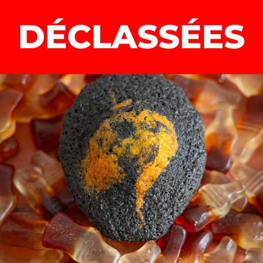 Madeleines Nature Bicolores | Déclassés Vrac 1kg