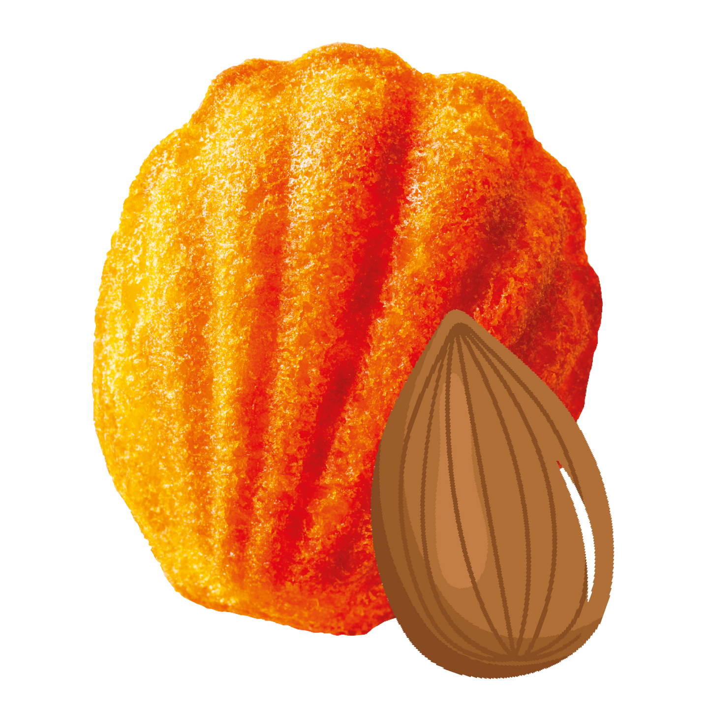 Madeleine Saveur Amande