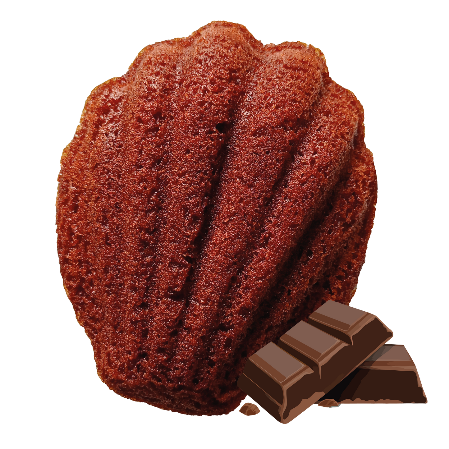 Madeleine Chocolat