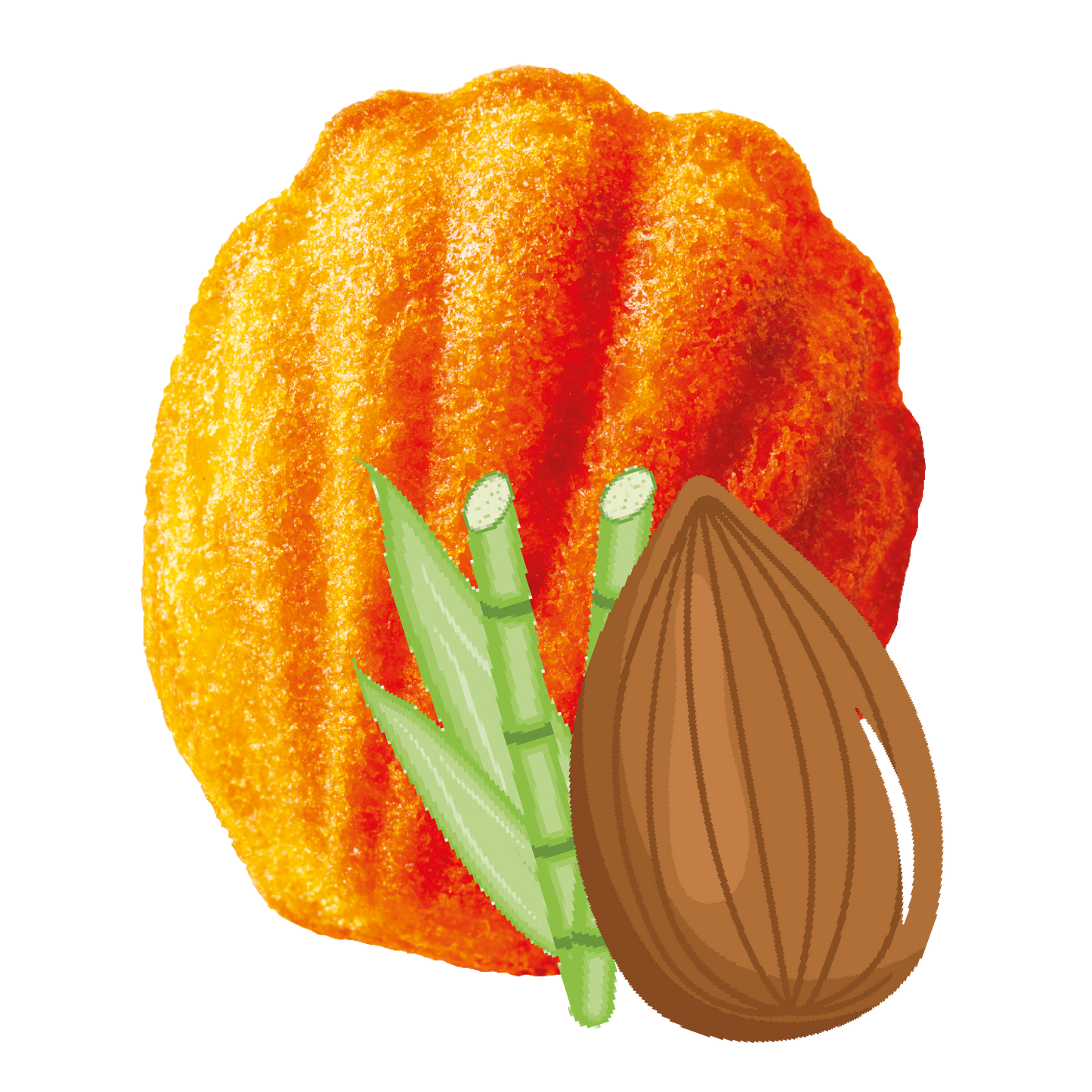 Madeleine Saveur Rhum/Amande