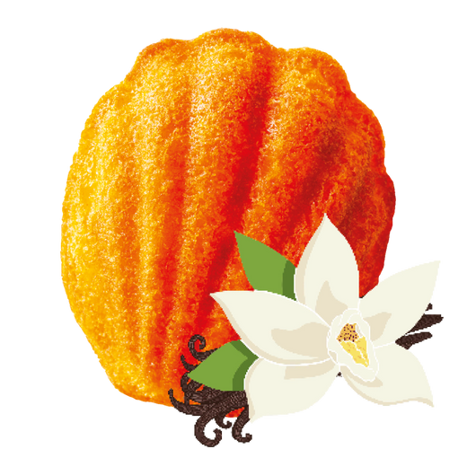 Vanilla Madeleine